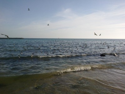 014.jpg (185.56КБ)38016 просмотров 014.jpg