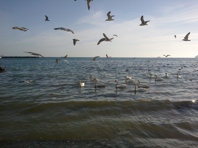 012.jpg (182.06КБ)38010 просмотров 012.jpg